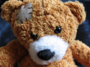 Teddy bear with bandage on its head in Lindsay, Ontario, Canada
